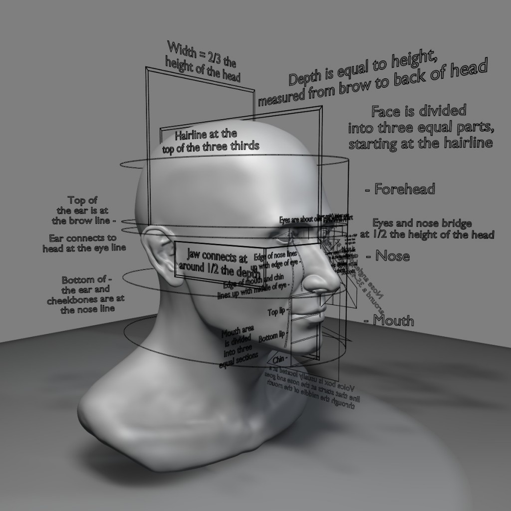 Proportions of the Face preview image 1